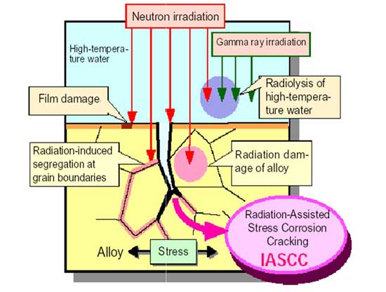 IASCC