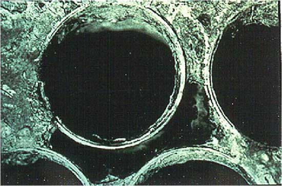 Galvanic Corrosion of Muntz Metal